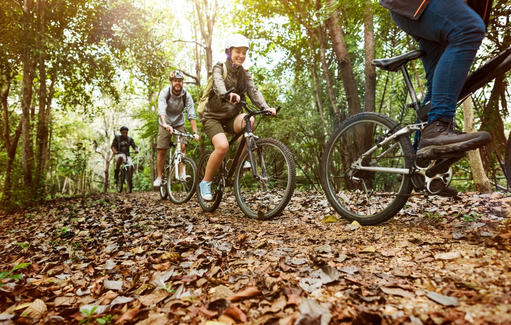 grupo-de-amigos-andam-de-bicicleta-de-montanha-na-floresta-juntos-min.jpg